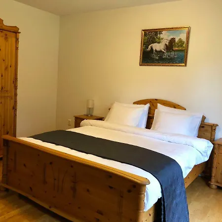 Grand House In The Forest Holiday home Imatra