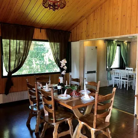 Holiday home Grand House In The Forest Imatra